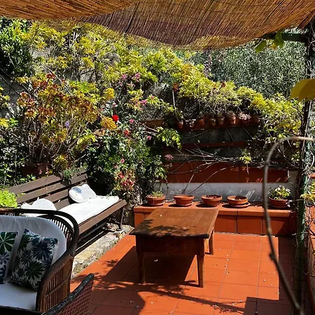 Il Nido A Appartement *